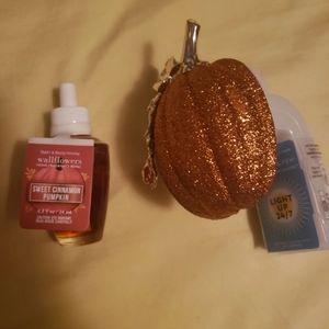 Bath and Body Works Pumpkin Wallflower
